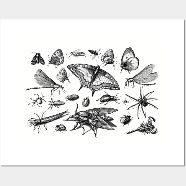 Insects Wall Art by AltrusianGrace